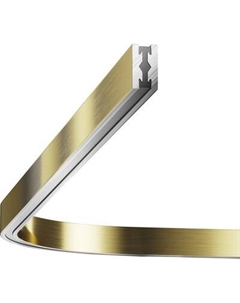 Коннектор для шинопровода Maytoni TRX154-RC80-BS