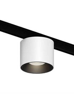Трековый светильник Maytoni TR188-1-5W4K-M-BW
