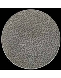 Тарелка закусочная (десертная) Corone Nori LQ-QK15288-GRY / фк5610