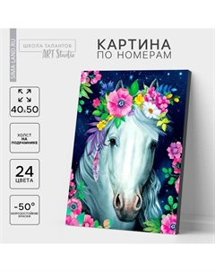 Картина по номерам на холсте с подрамником «Лошадь», 40 х 50 см Школа талантов