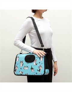 Сумка-переноска каркасная «Играющие котики», размер S, 37.5×17×22 см, голубая Пижон