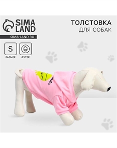 Толстовка Best Friends для собак (футер), размер S (ДС 23, ОШ 32-34, ОГ 40-44), розовая Пушистое счастье