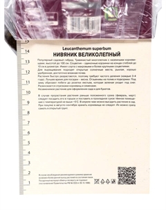 Нивяник великолепный «Бродвей Лайтс», р-р I, 1 шт., Осень 2025 Поиск