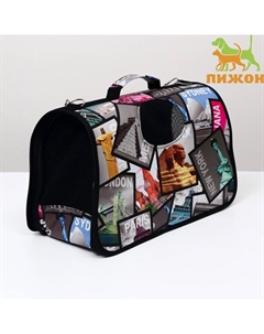 Сумка - переноска для животных «Путешественник», размер S, 37.5×17×22 см Пижон