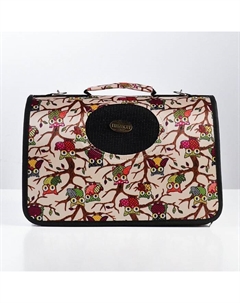 Сумка - переноска для животных «Совы», размер S, 37.5×17×22 см Пижон