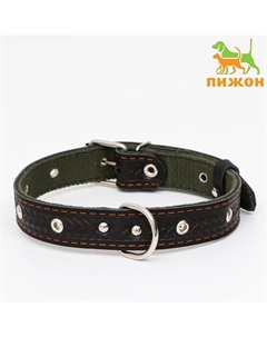 Ошейник комбинированный безразмерный, кожа/брезент, 60×3 см, ОШ 30-57 см, чёрный/зелёный Пижон