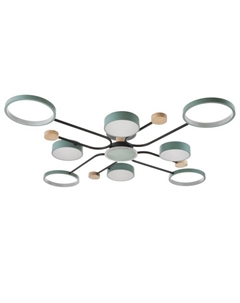 Люстра с ПДУ 2298/9GN LED 204Вт 3000-6000К зеленый 120х120х15 см Bayerlux