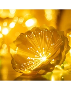 Декоративная подсветка «Лунник» 20хLED 4000К 5 м желтый 500×9×9 см Risalux