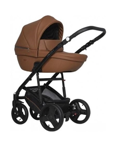 Универсальная коляска Basic Aicon Ecco (2 в 1, 06) Riko