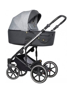 Универсальная коляска Exeo (2 в 1, 05 carbon) Expander