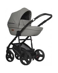 Универсальная коляска Basic Aicon Ecco (2 в 1, 05) Riko