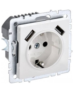 Розетка Brite BR-R14-16-U21-D21-K01 Iek