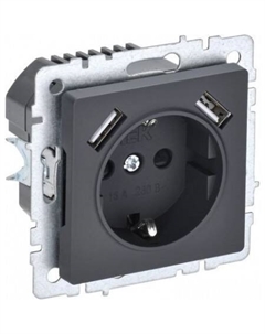 Розетка Brite BR-R14-16-U21-D21-K53 Iek