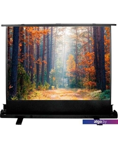 Проекционный экран FloorExpert 135x180 CS-PSFLE-180х135 Cactus