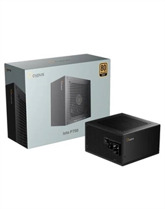 Блок питания Iota P750 Iota-P750-G1FFBK024X-EU Ocypus