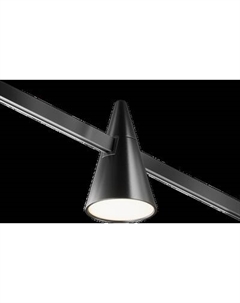 Трековый светильник Maytoni TR146-1-5W3K-B