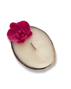 Свеча ароматическая в кокосе с ароматом Морская соль и орхидея 200 Candle zen