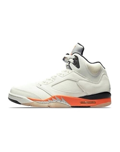 Кроссовки 5 Retro Shattered Backboard Nike