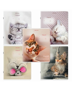 Тетрадь 18л. КОМПЛЕКТ 10шт, клетка, Котики Brauberg