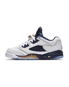 Баскетбольные кроссовки 5 Retro Low Dunk From Above GS Nike