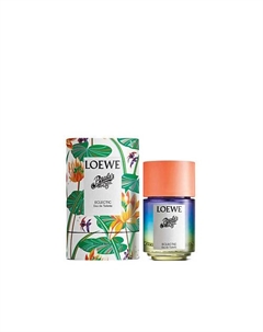 Туалетная вода PAULA'S IBIZA ECLECTIC 100 Loewe