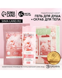 Подарочный набор косметики «Сияй!», гель для душа 250 мл и скраб для тела соляной 250 г Чистое счастье