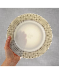 Тарелки WY Eternal, d=25.5 см, обеденные, набор 2 шт., фарфор, белые Wilson&young