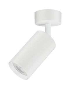 Светильник наст.-пот. (спот) 35Вт GU10 белый 21330 Truenergy