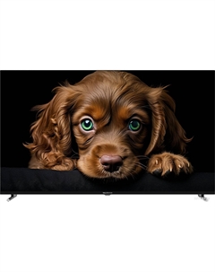 Телевизор Topdevice 55" QLED CQ08