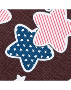 Сумка-переноска для животных "Star", размер L, 53 х 21 х 29 см, бордо Пижон