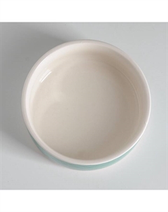 Миска керамическая «Сеточка» 200 мл - 10.5×10.5×4 см, белая/мятная Пижон