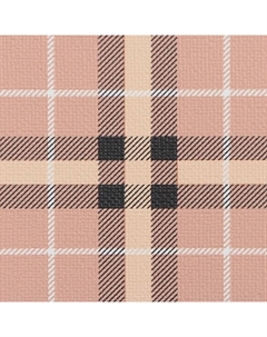 Сумка-переноска каркасная «Клетка», размер M, 43×21×26 см, розовая Пижон