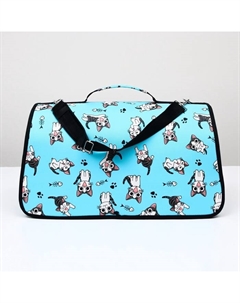 Сумка-переноска каркасная «Играющие котики», размер L, 53×21×29 см, голубая Пижон