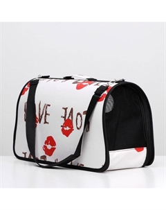 Сумка-переноска каркасная Love, размер L, 53×21×29 см Пижон