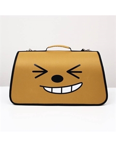 Сумка-переноска каркасная «Улыбка», размер M, 40×21×27 см, коричневая Пижон