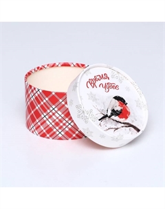 Набор новогодних коробок 3 в1 «Время чудес» 16×10, 14×9, 13×8.5 см Upak land