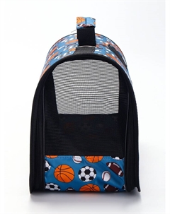 Сумка - переноска для животных «Спорт», размер L, 53×21×29 см, голубая Пижон