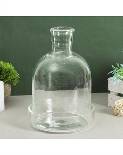 Ваза «Мини-флорариум», 3 л, 28×18 см, стекло, прозрачная Evis