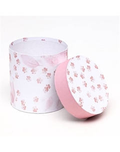 Набор шляпных подарочных коробок 5 в1 «Легкость», 20×20 - 15×15 см Upak land