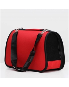 Сумка - переноска для животных «Весёлый жук», красная, размер M, 45×21×27 см Пижон