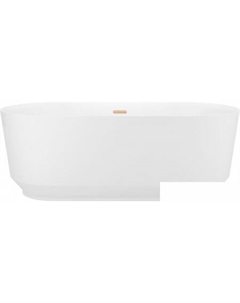 Air Gap R 166x77 23860104R (отдельностоящая ванна белый глянец, экран, ножки, сифон-автомат золото) Wellsee