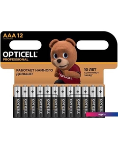 Батарейка Professional AAA 5052006(12 шт) Opticell