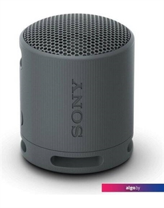 Беспроводная колонка XB100 (черный) Sony