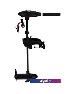 Лодочный мотор Trolling Motor [68631] Intex