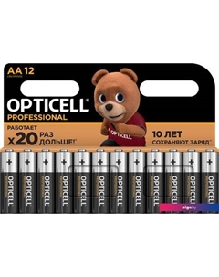 Батарейка Professional AA 5052005 (12 шт) Opticell