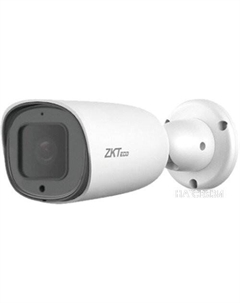 IP-камера ZK-LPR CarID BL-852Q38A-LP Zkteco