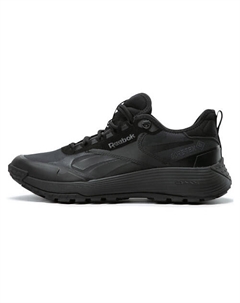 Кроссовки Dmx Trail GORE TEX 'Black Pure Grey' Reebok