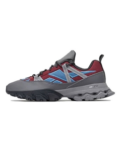 Кроссовки Dmx Trail Shadow 'Cloud Grey Burgundy Steel Blue' Reebok