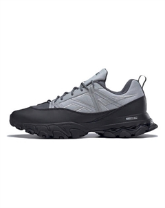 Кроссовки DMX Trail Pure Grey Black Reebok