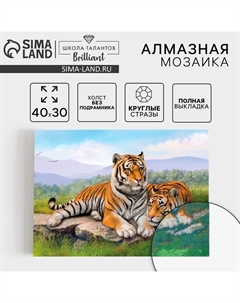 Алмазная мозаика с полным заполнением на холсте «Тигры», 30 х 40 см Школа талантов
